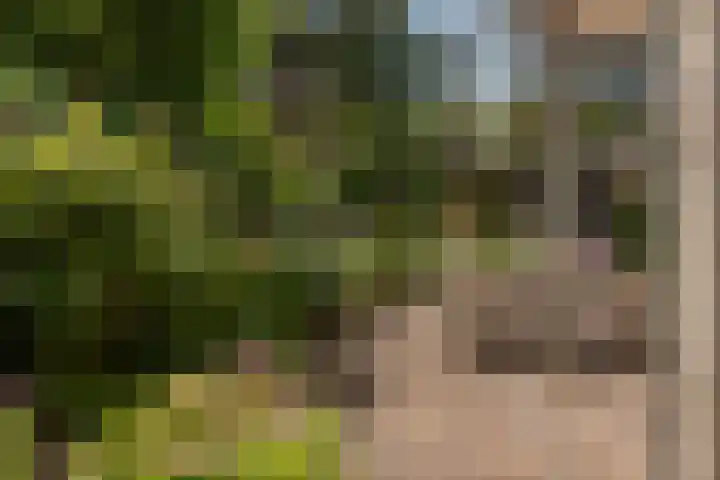 de Ploeg 12 Wezep thumbnail 55