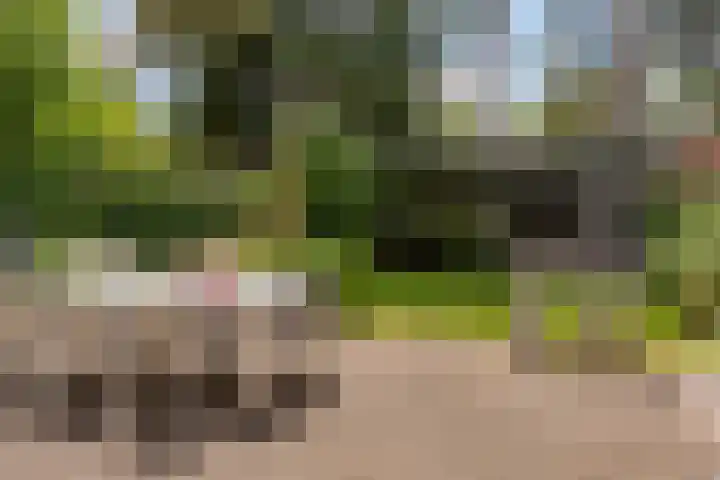 de Ploeg 12 Wezep thumbnail 56