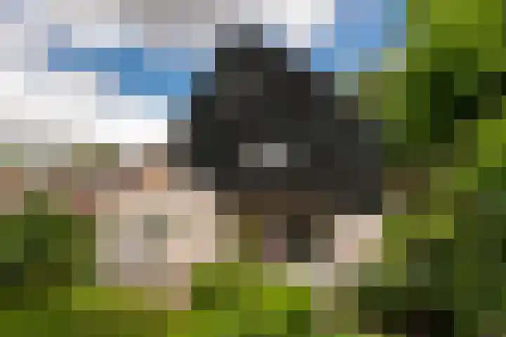 de Ploeg 12 Wezep thumbnail 61
