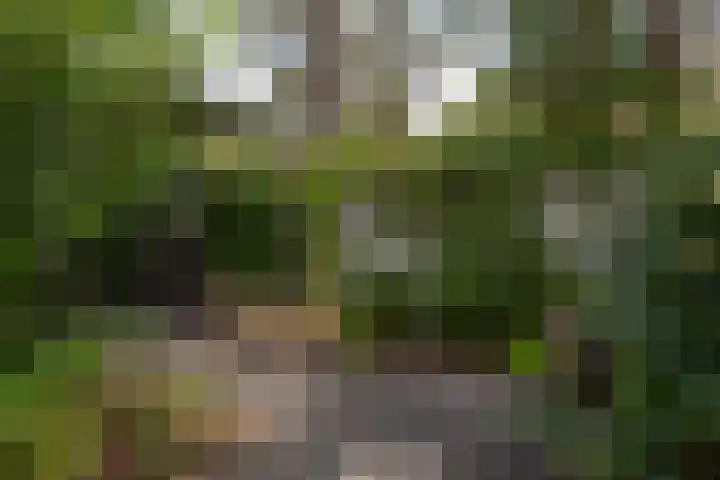 de Ploeg 12 Wezep thumbnail 63