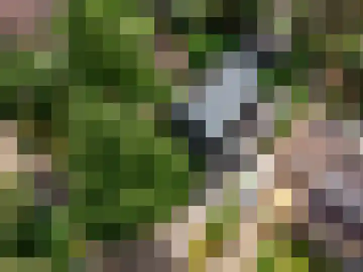 de Ploeg 12 Wezep thumbnail 72