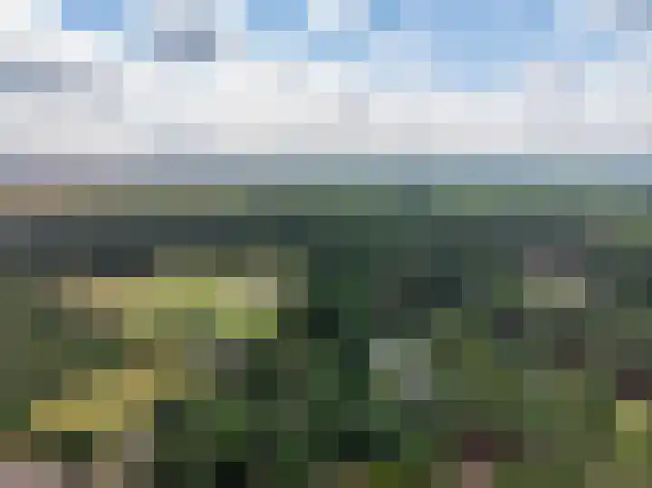 de Ploeg 12 Wezep thumbnail 75