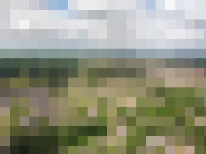 de Ploeg 12 Wezep thumbnail 77