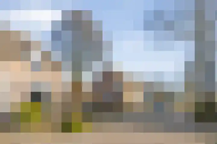 de Ploeg 15 Lieshout thumbnail 10