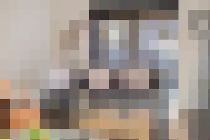 de Ploeg 15 Lieshout thumbnail 18