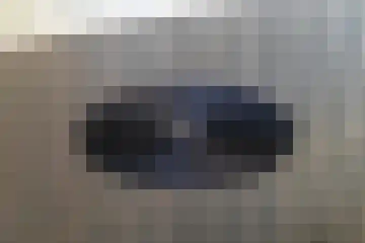 de Ploeg 15 Lieshout thumbnail 23