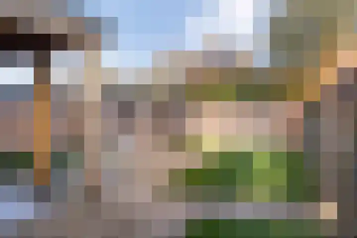 de Ploeg 15 Lieshout thumbnail 36