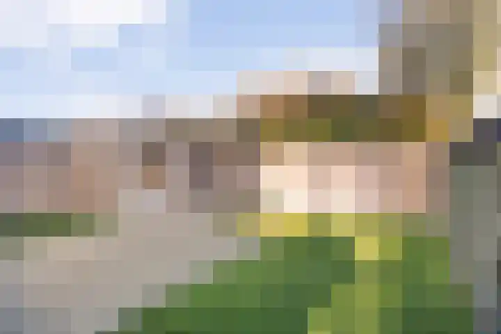 de Ploeg 15 Lieshout thumbnail 37