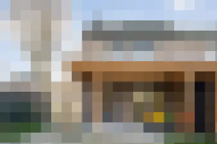 de Ploeg 15 Lieshout thumbnail 39