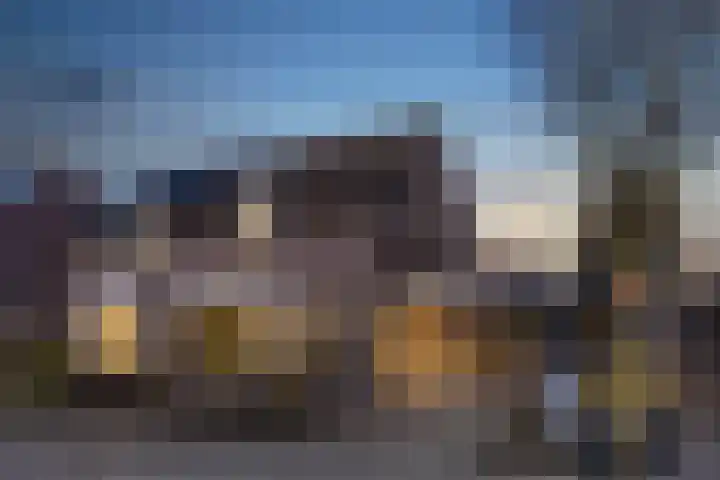 de Ploeg 15 Lieshout thumbnail 7