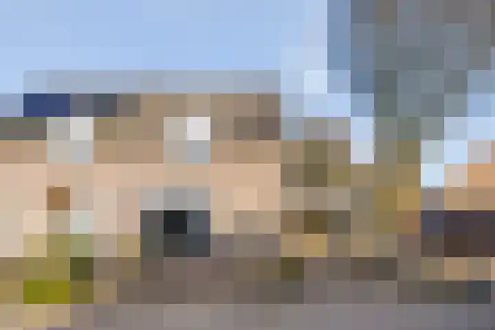 de Ploeg 15 Lieshout thumbnail 8