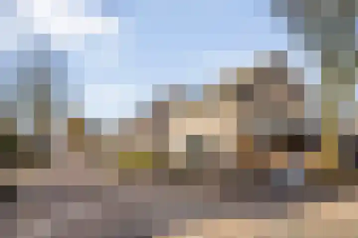 de Ploeg 15 Lieshout thumbnail 9