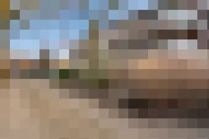 De Ploeg 20 Apeldoorn thumbnail 20