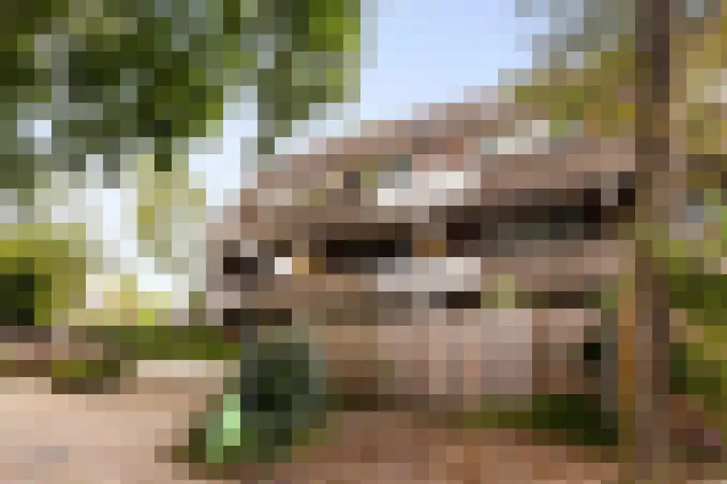 De Ploeg 24 Apeldoorn thumbnail 18