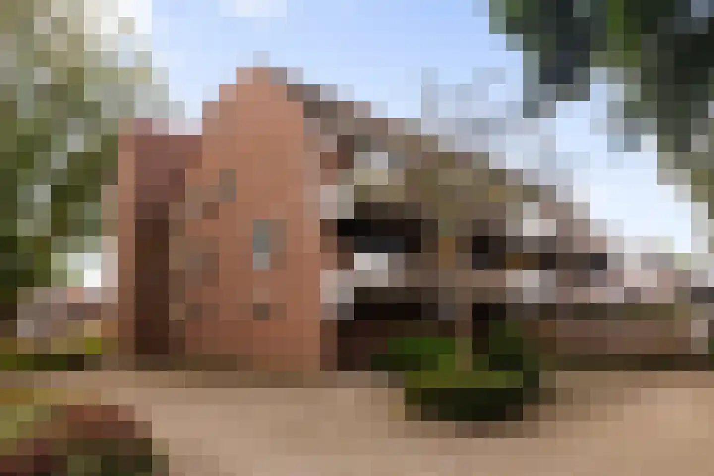 De Ploeg 24 Apeldoorn thumbnail 20
