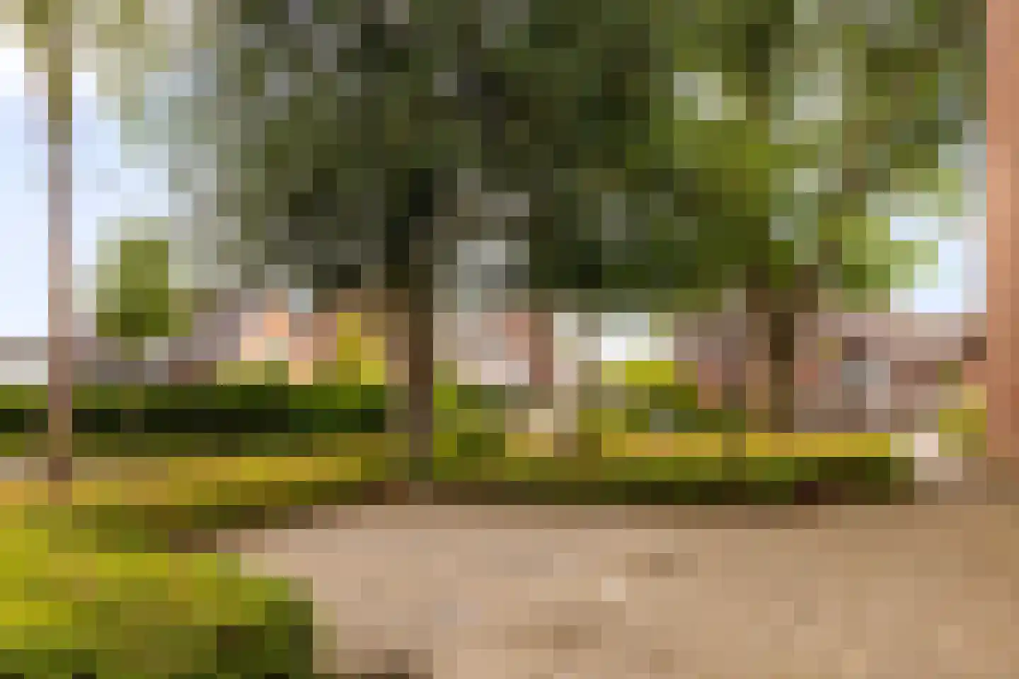 De Ploeg 24 Apeldoorn thumbnail 21