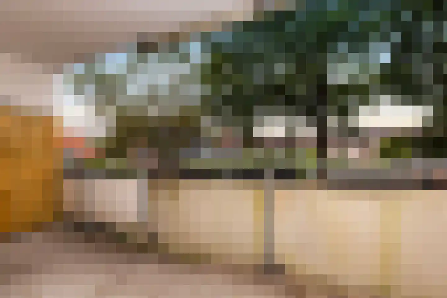 De Ploeg 24 Apeldoorn thumbnail 7