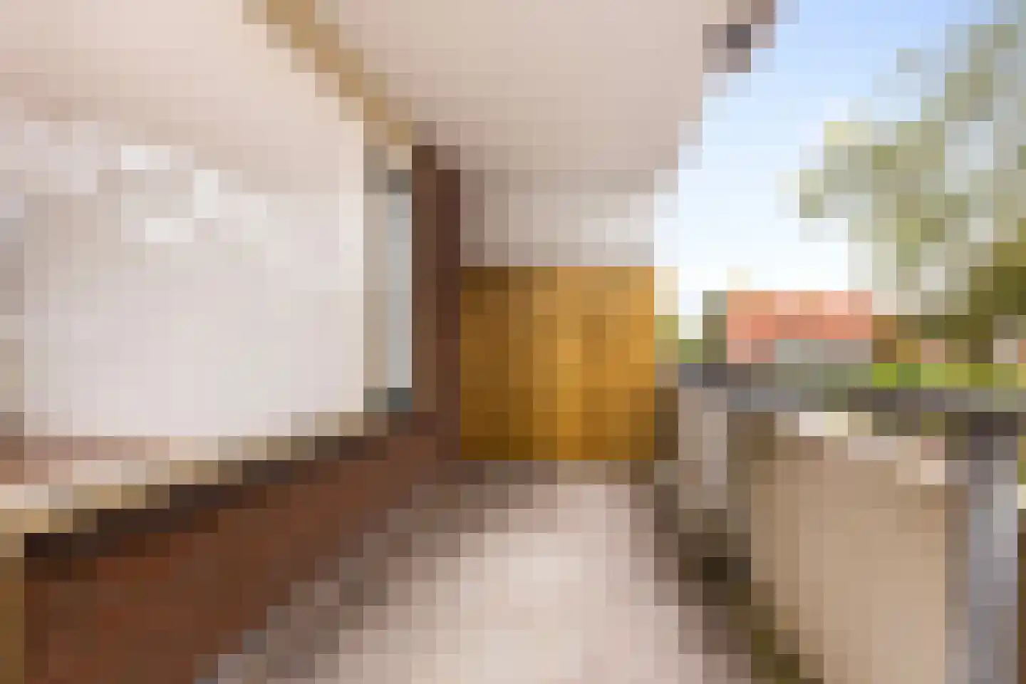 De Ploeg 24 Apeldoorn thumbnail 8