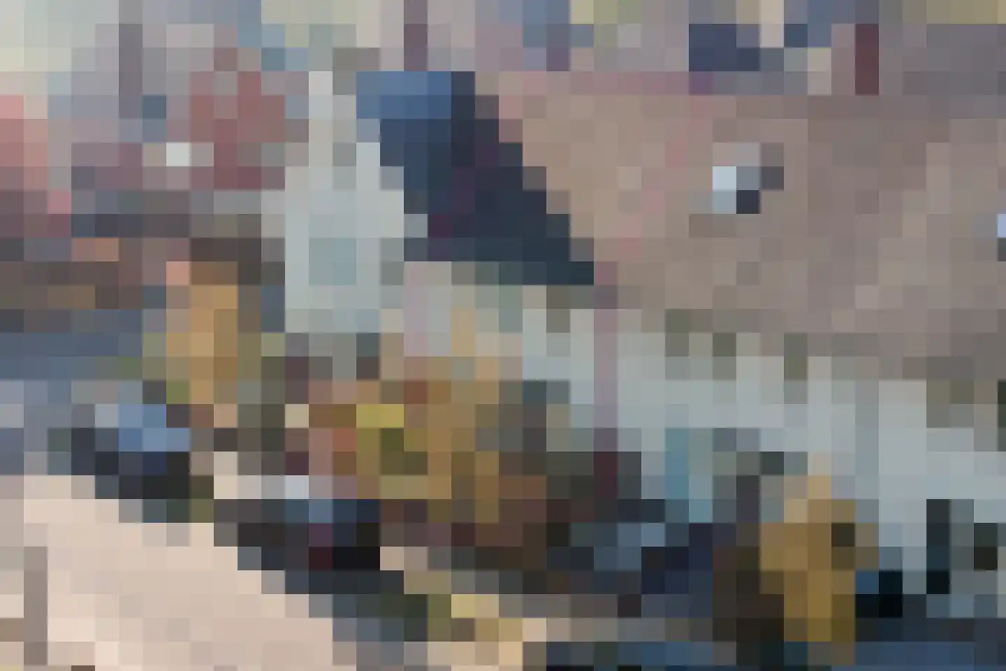 De Ploeg 26 Warnsveld thumbnail 31