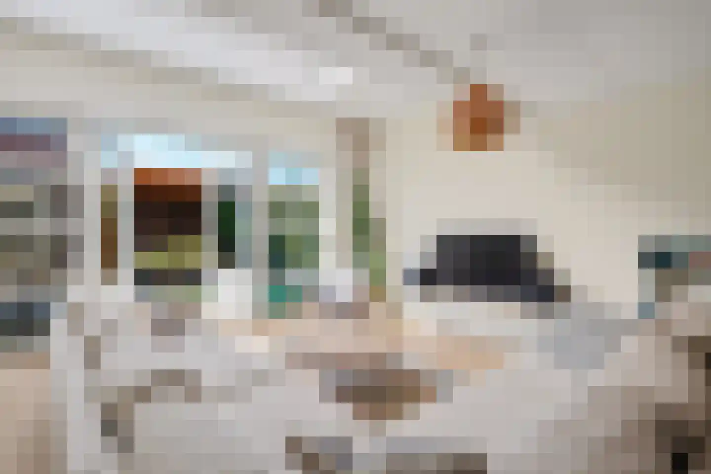 De Ploeg 26 Warnsveld thumbnail 7