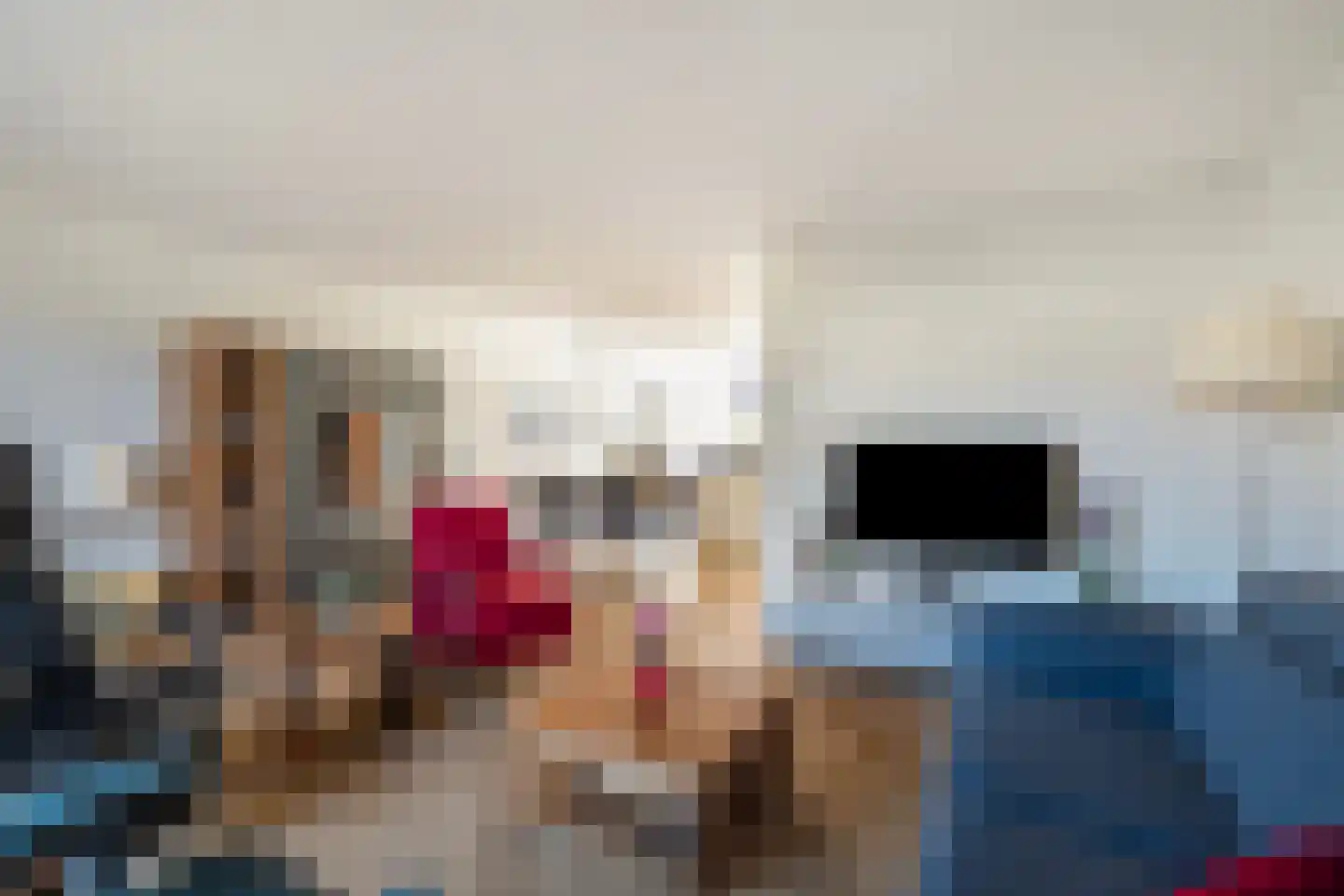 de Ploeg 3 Heerhugowaard thumbnail 12