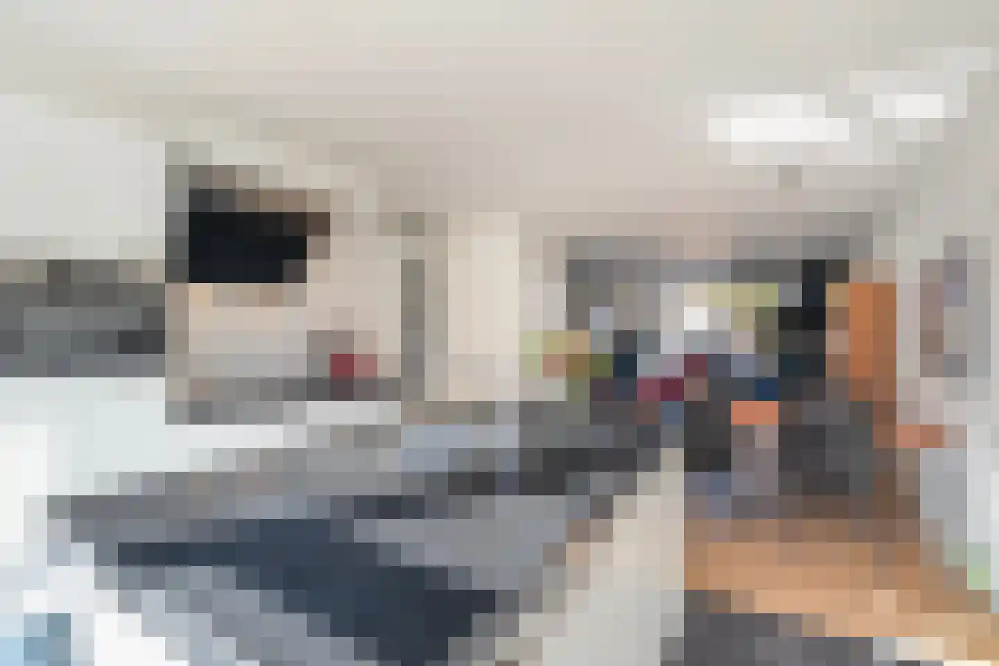 de Ploeg 3 Heerhugowaard thumbnail 20