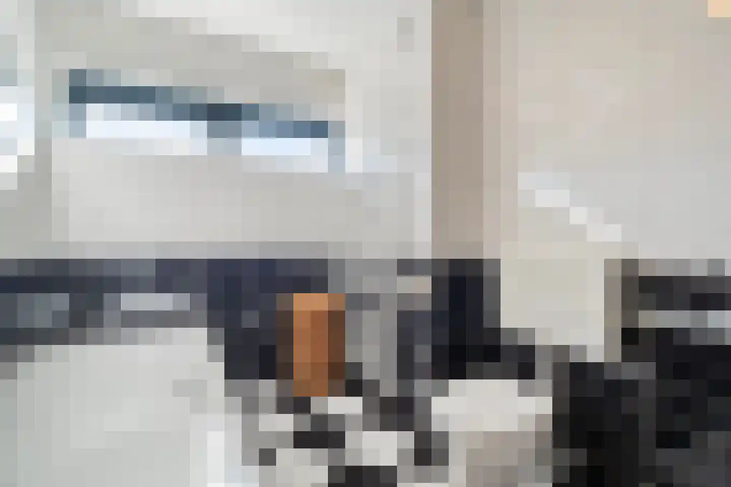de Ploeg 3 Heerhugowaard thumbnail 34