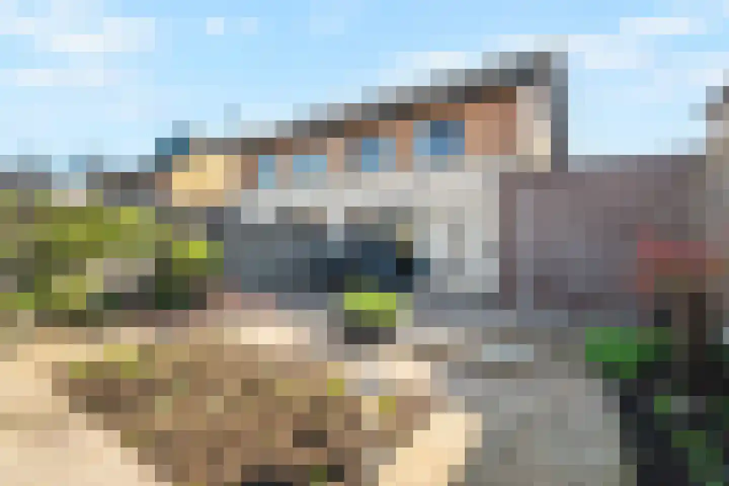 de Ploeg 3 Heerhugowaard thumbnail 39