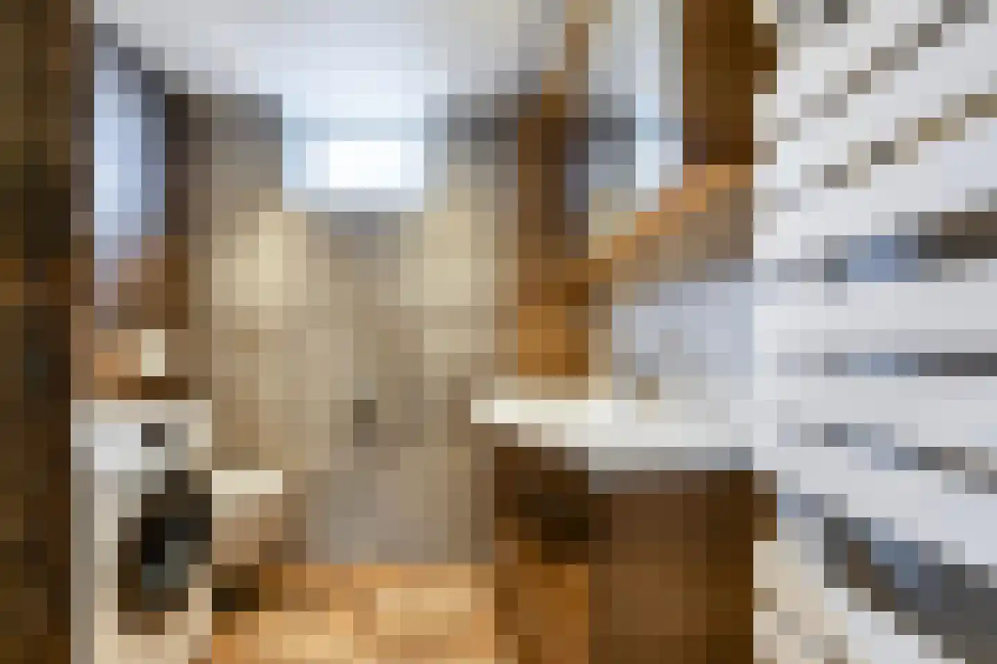 De Ploeg 40 Apeldoorn thumbnail 22