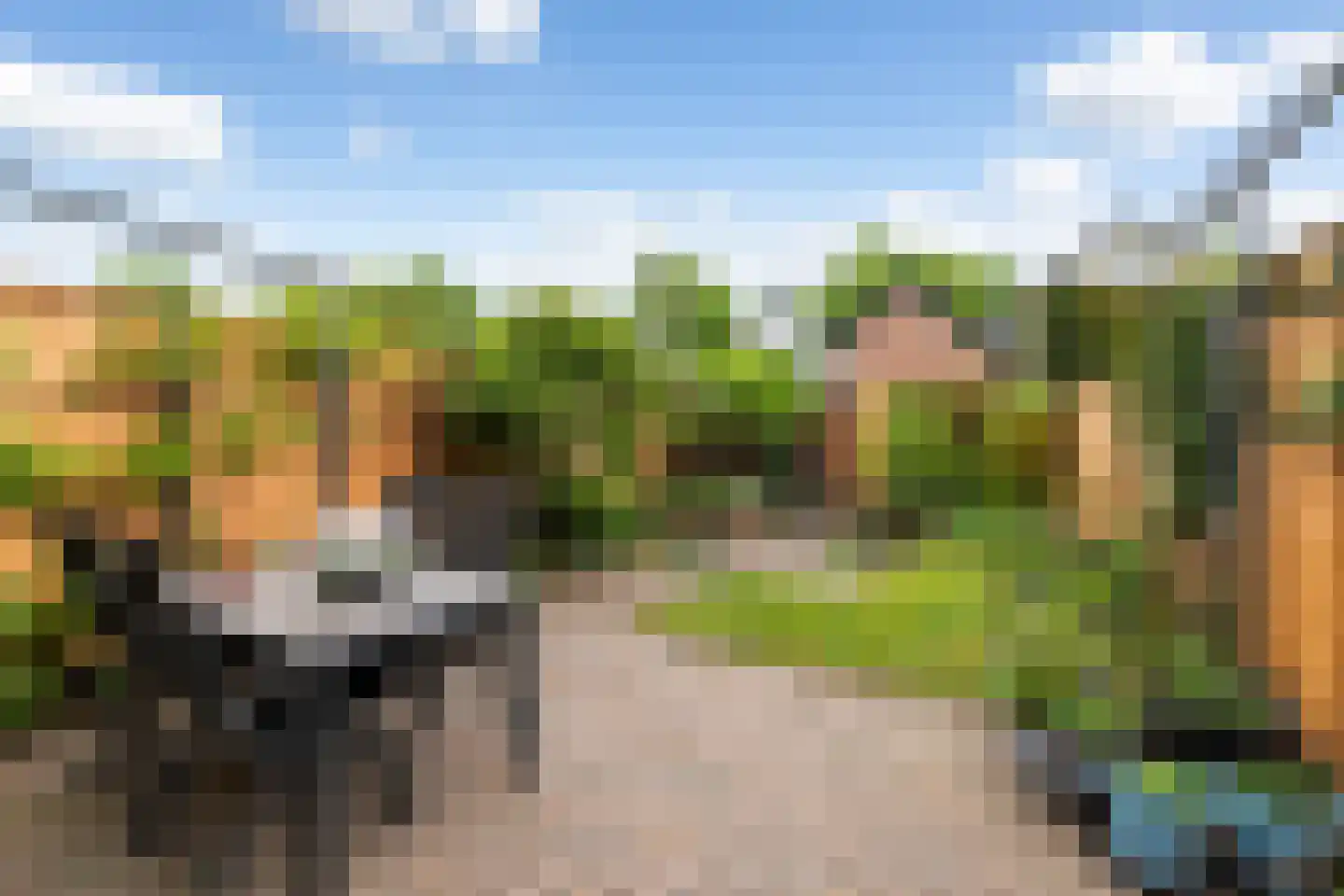 De Ploeg 40 Apeldoorn thumbnail 29