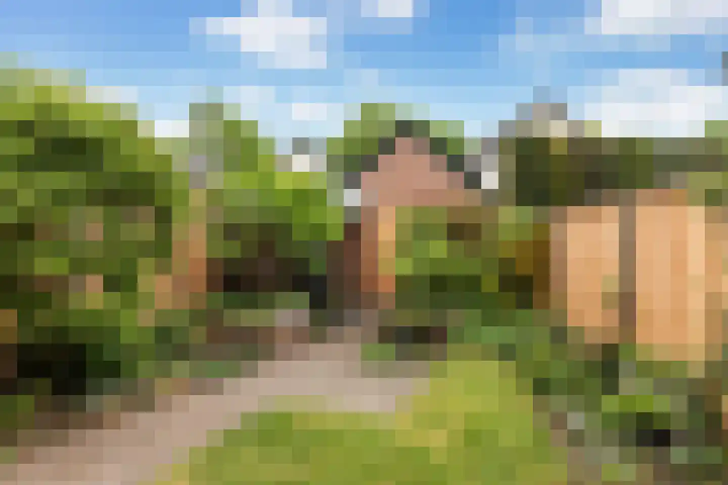 De Ploeg 40 Apeldoorn thumbnail 30
