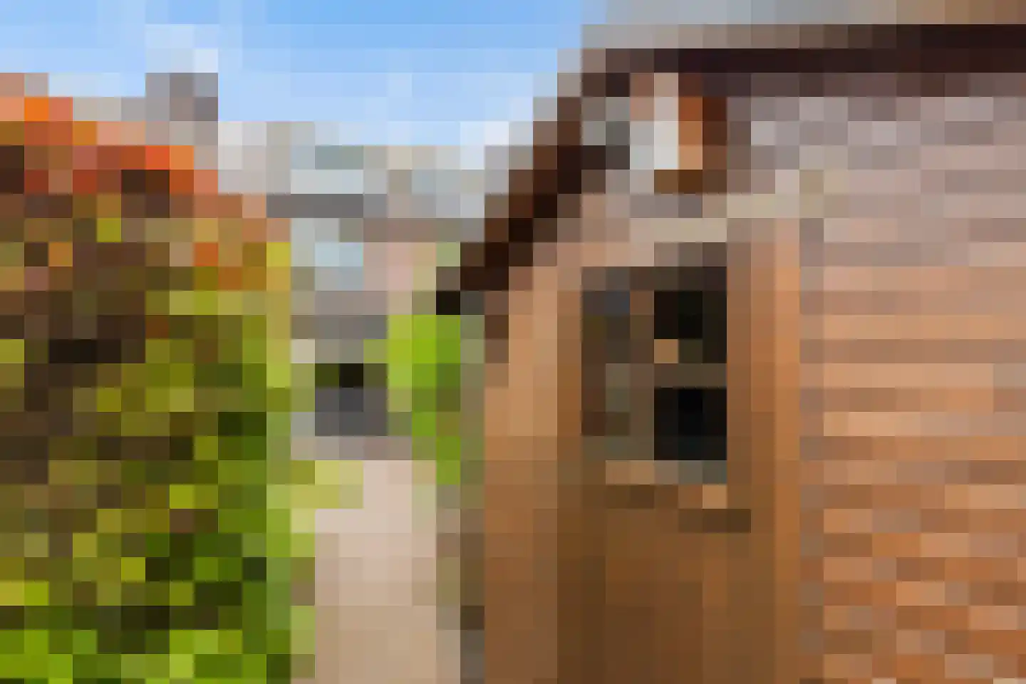 De Ploeg 40 Apeldoorn thumbnail 31
