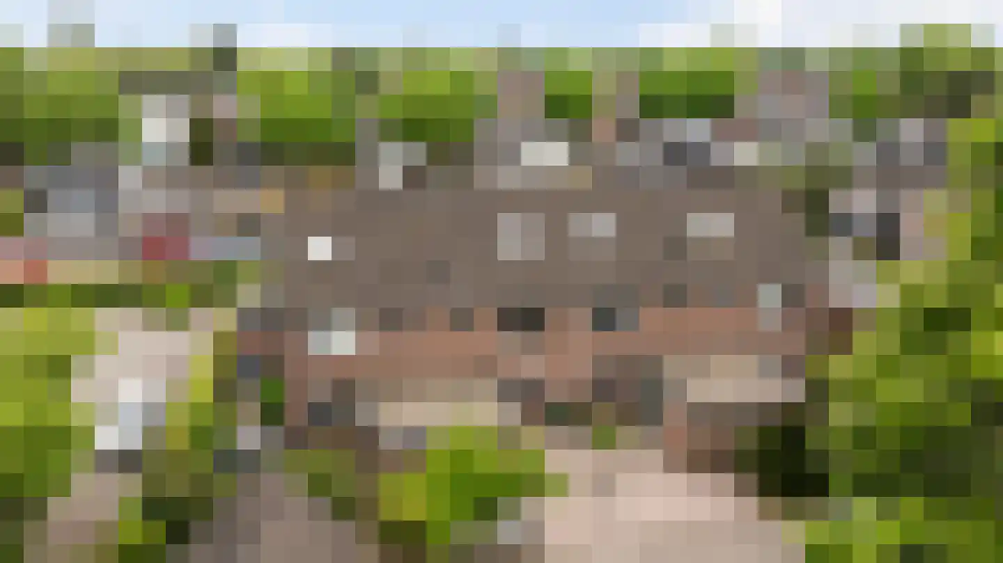 De Ploeg 40 Apeldoorn thumbnail 36