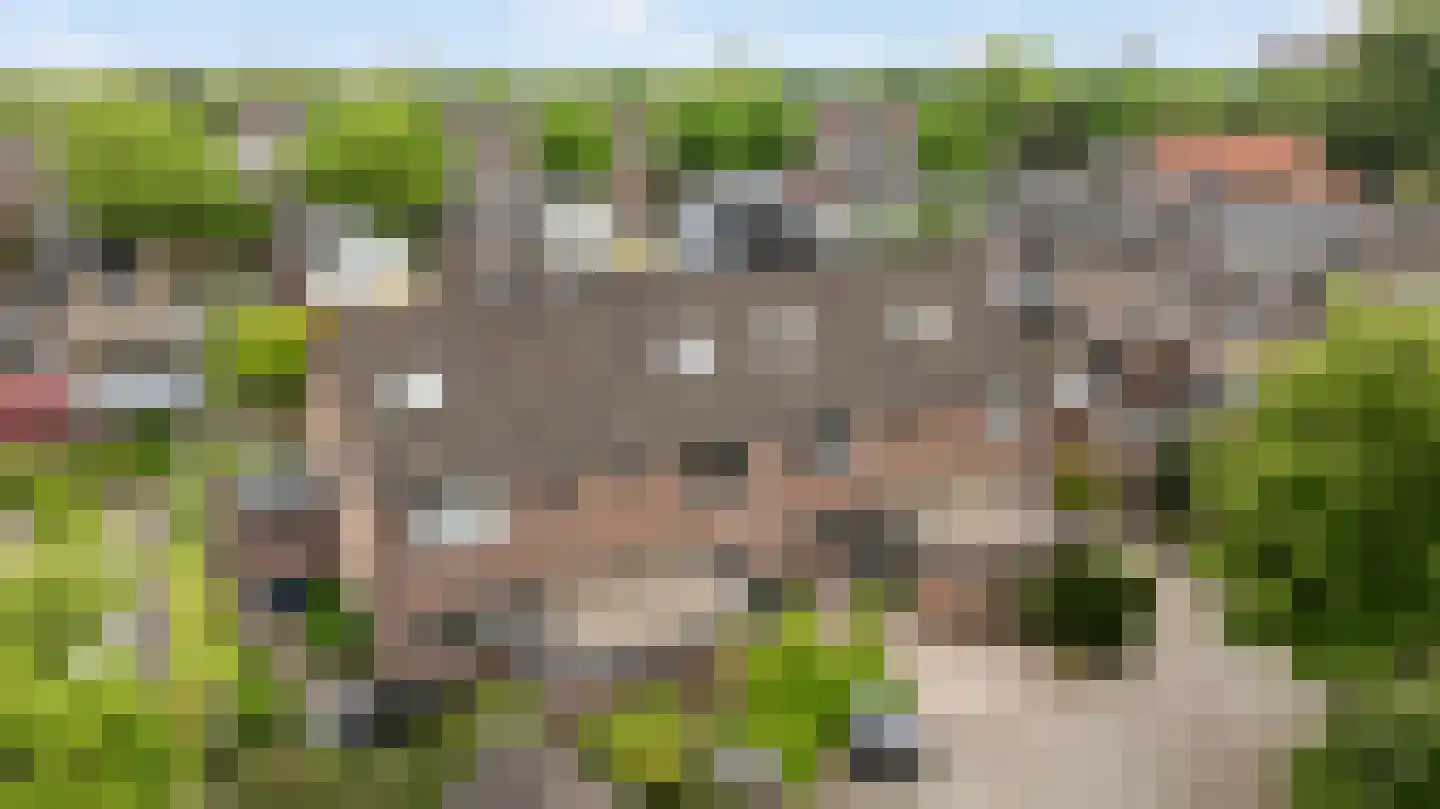 De Ploeg 40 Apeldoorn thumbnail 37