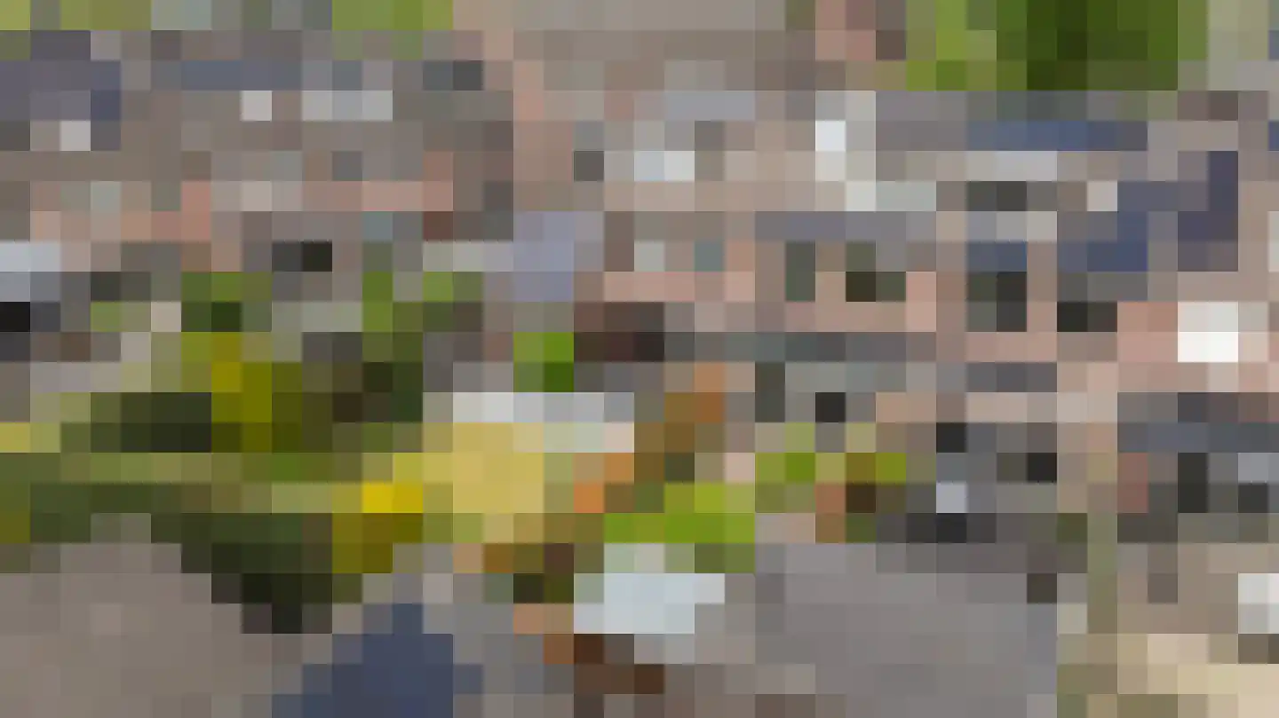 De Ploeg 40 Apeldoorn thumbnail 39