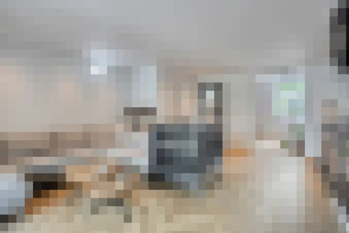 De Ploeg 50 Heesch thumbnail 10