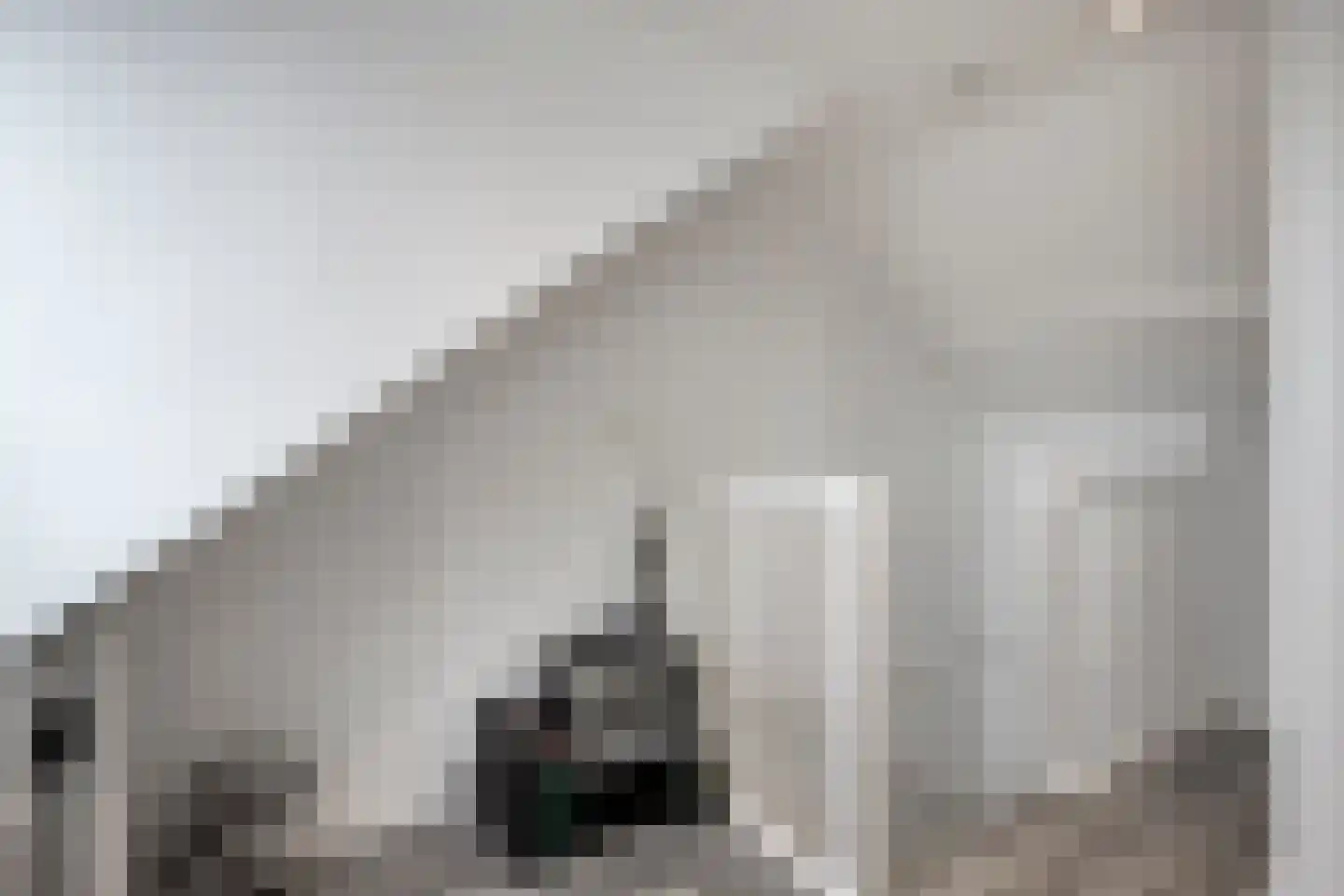 De Ploeg 50 Heesch thumbnail 22
