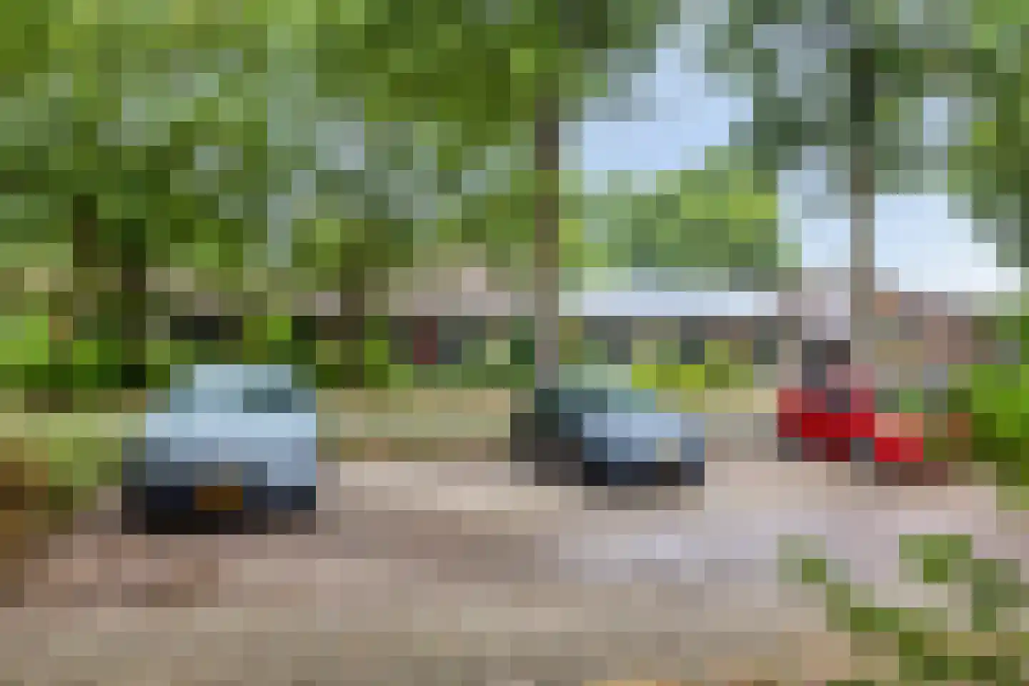 De Ploeg 50 Heesch thumbnail 30