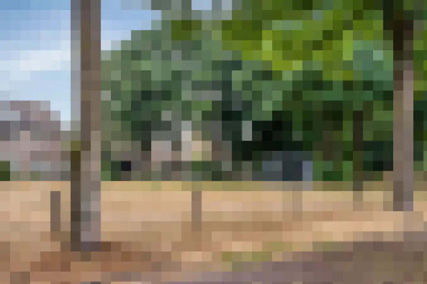 De Ploeg 50 Heesch thumbnail 31
