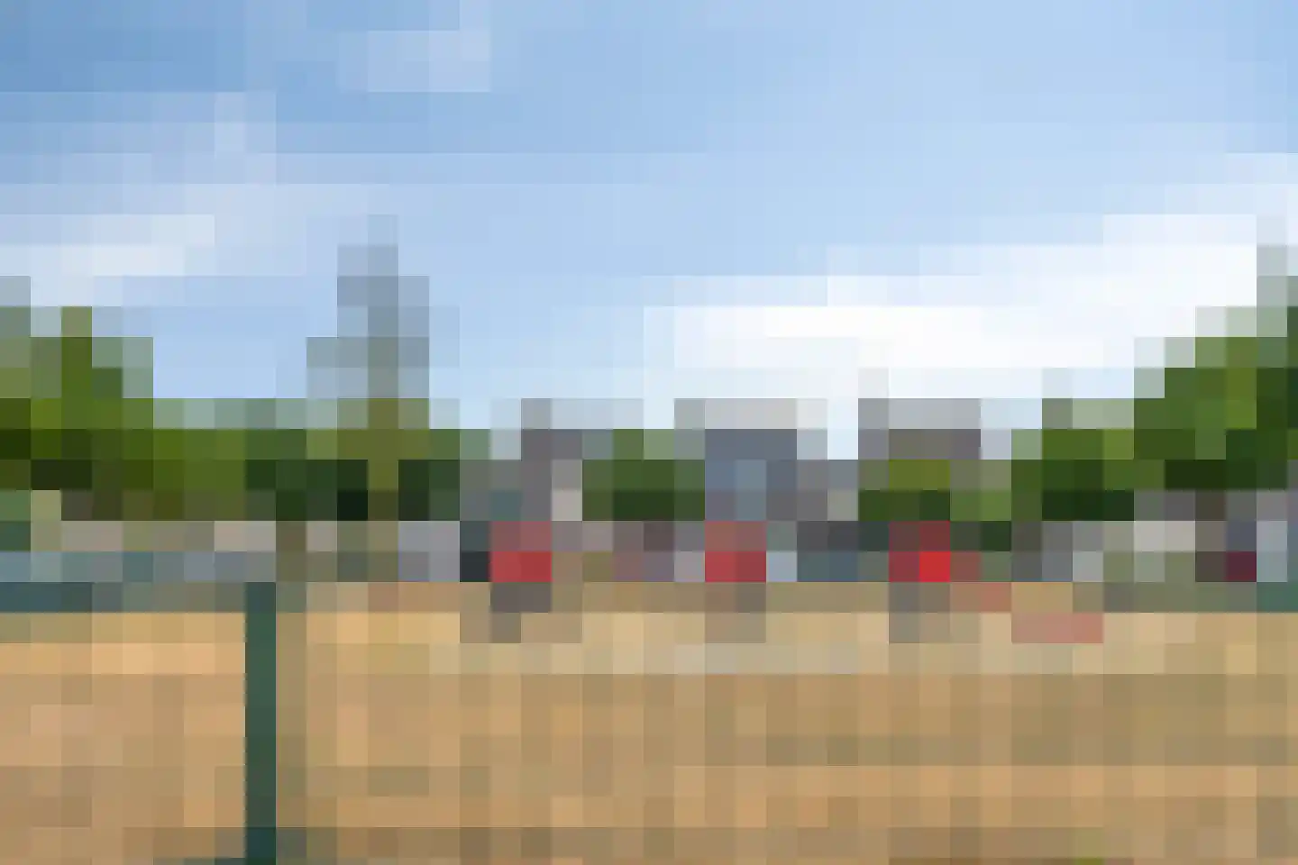 De Ploeg 50 Heesch thumbnail 32