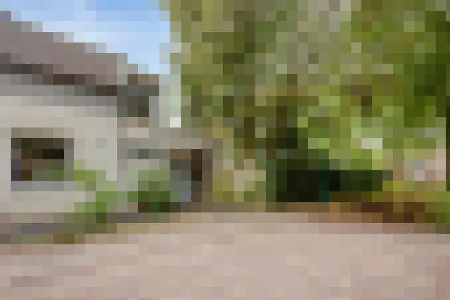 De Ploeg 50 Heesch thumbnail 35