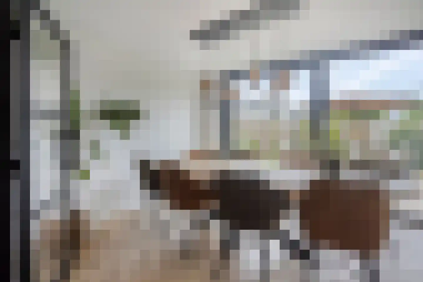 De Ploeg 50 Heesch thumbnail 6