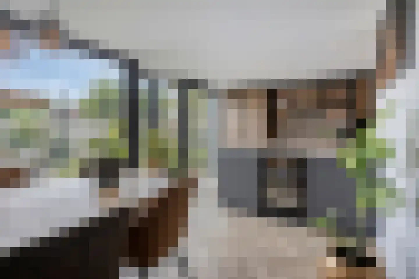 De Ploeg 50 Heesch thumbnail 7