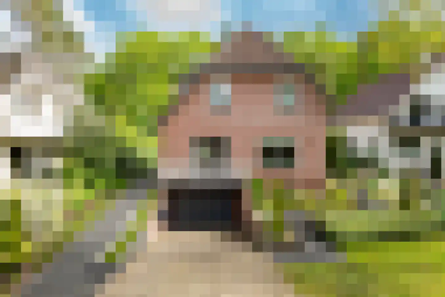 de Ploeg 7 Wezep