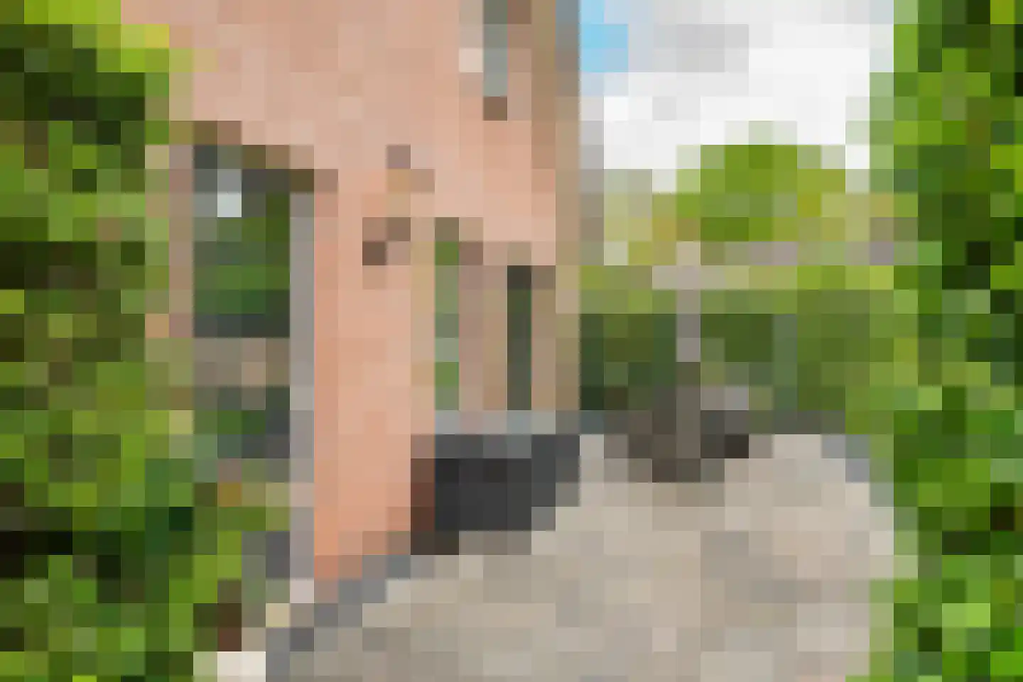 de Ploeg 7 Wezep thumbnail 10