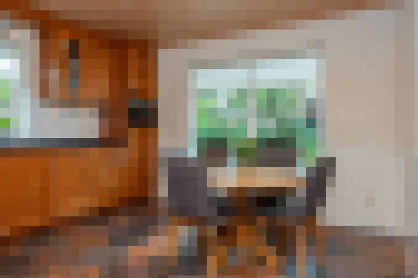 de Ploeg 7 Wezep thumbnail 27