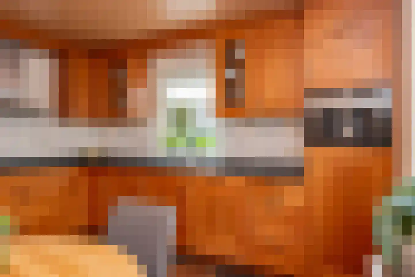 de Ploeg 7 Wezep thumbnail 29