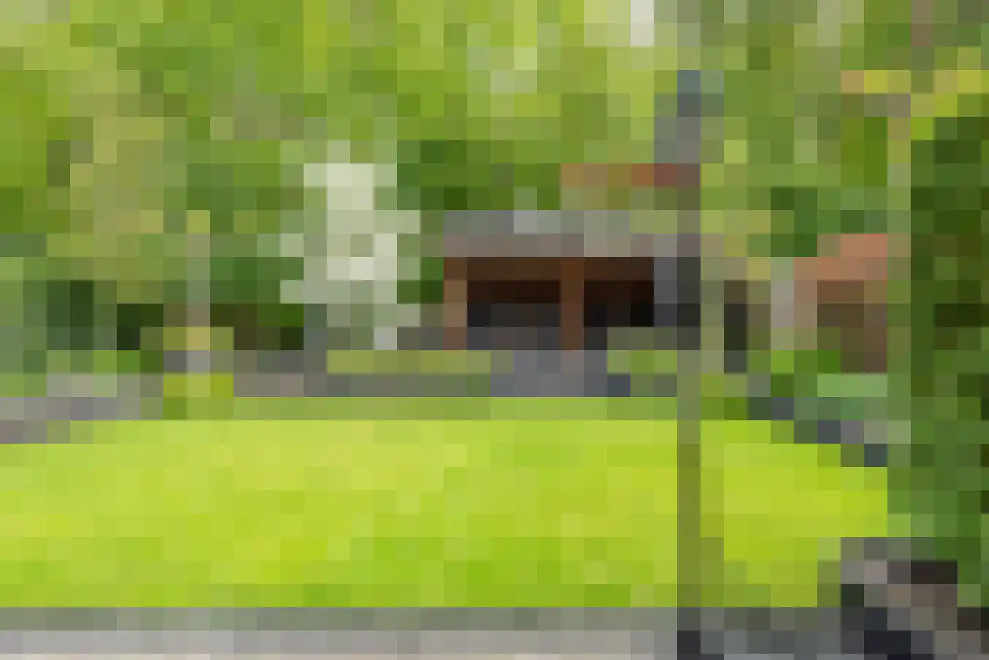 de Ploeg 7 Wezep thumbnail 61