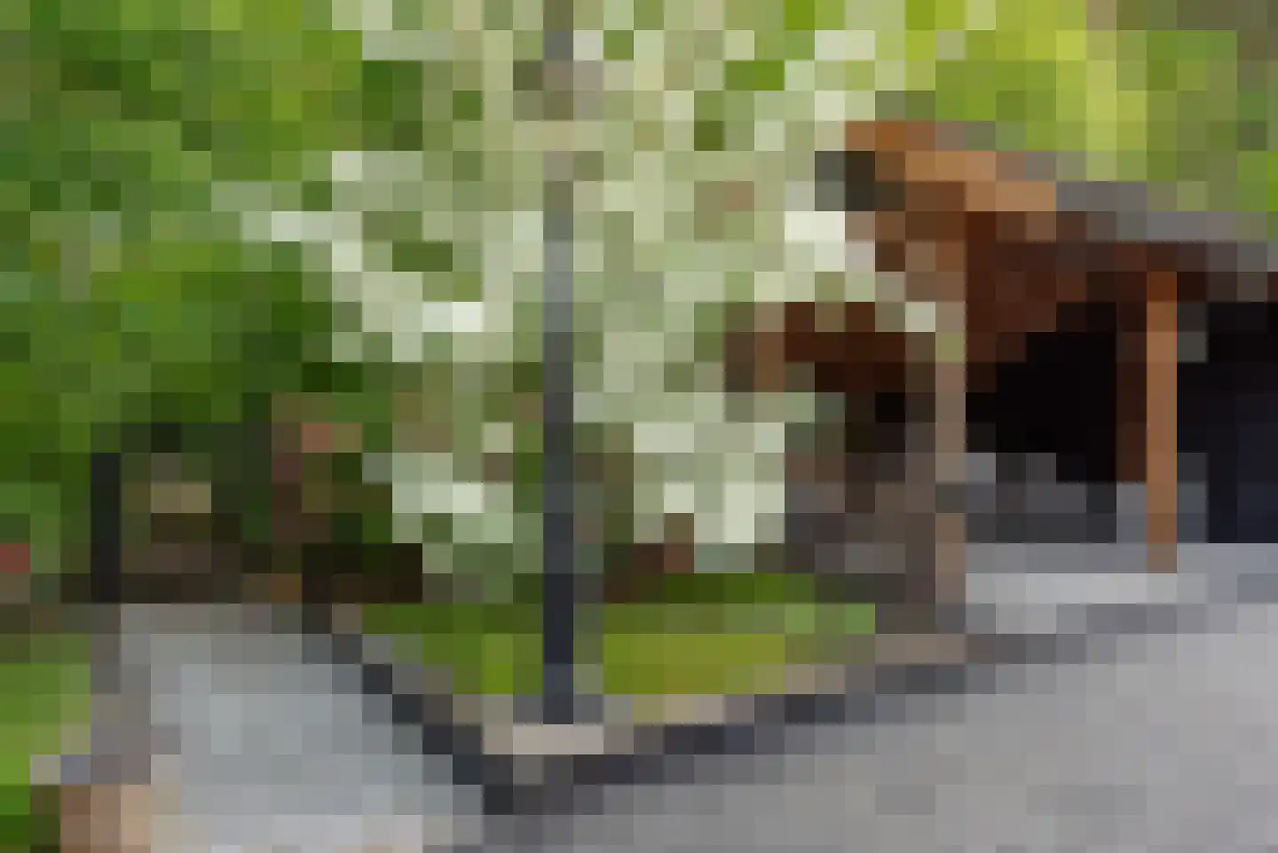 de Ploeg 7 Wezep thumbnail 63