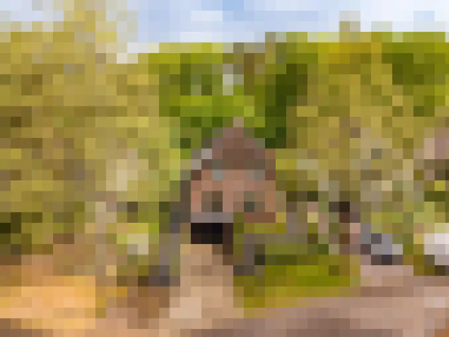 de Ploeg 7 Wezep thumbnail 66